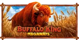 ภาพเกม Buffalo King Megaways ที่ playrich09 รวบรวมไว้